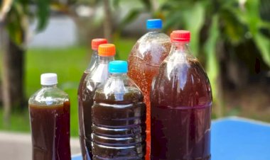 Mapa da reciclagem: saiba descartar corretamente o óleo de cozinha em Campo Grande