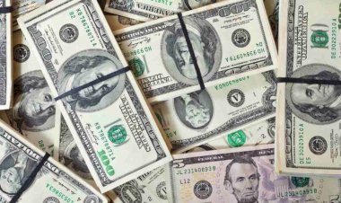 Dólar cai para R$ 5,36 com apetite por divisas emergentes antes do Copom