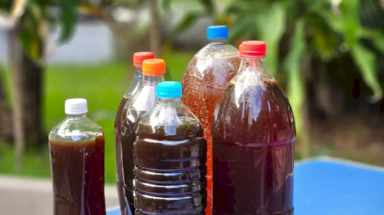 Mapa da reciclagem: saiba descartar corretamente o óleo de cozinha em Campo Grande